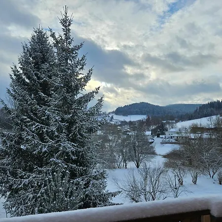 Privat-zimmer In Am Pfahl Viechtach
