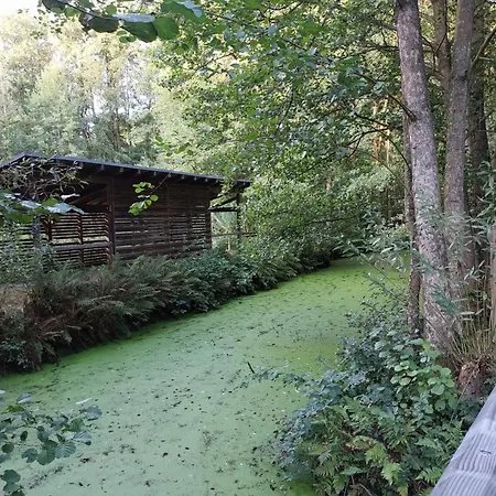 Privat-zimmer In Am Pfahl 3*