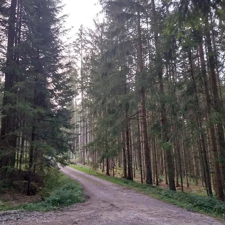 Privat-zimmer In Am Pfahl Viechtach