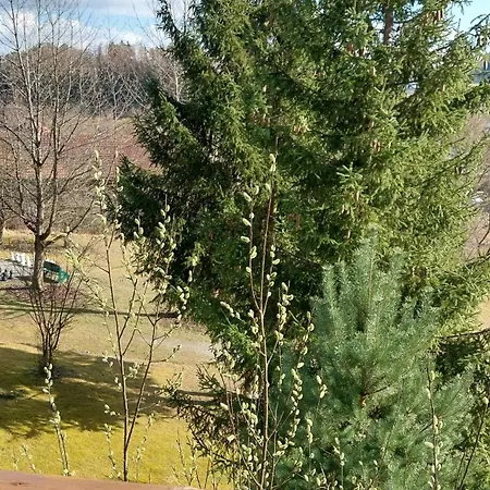 Privat-zimmer In Am Pfahl Viechtach